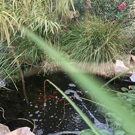 Dalia Apartman Gyoemro Dış mekan fotoğraf